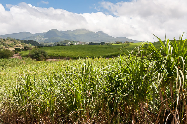 partir Guadeloupe