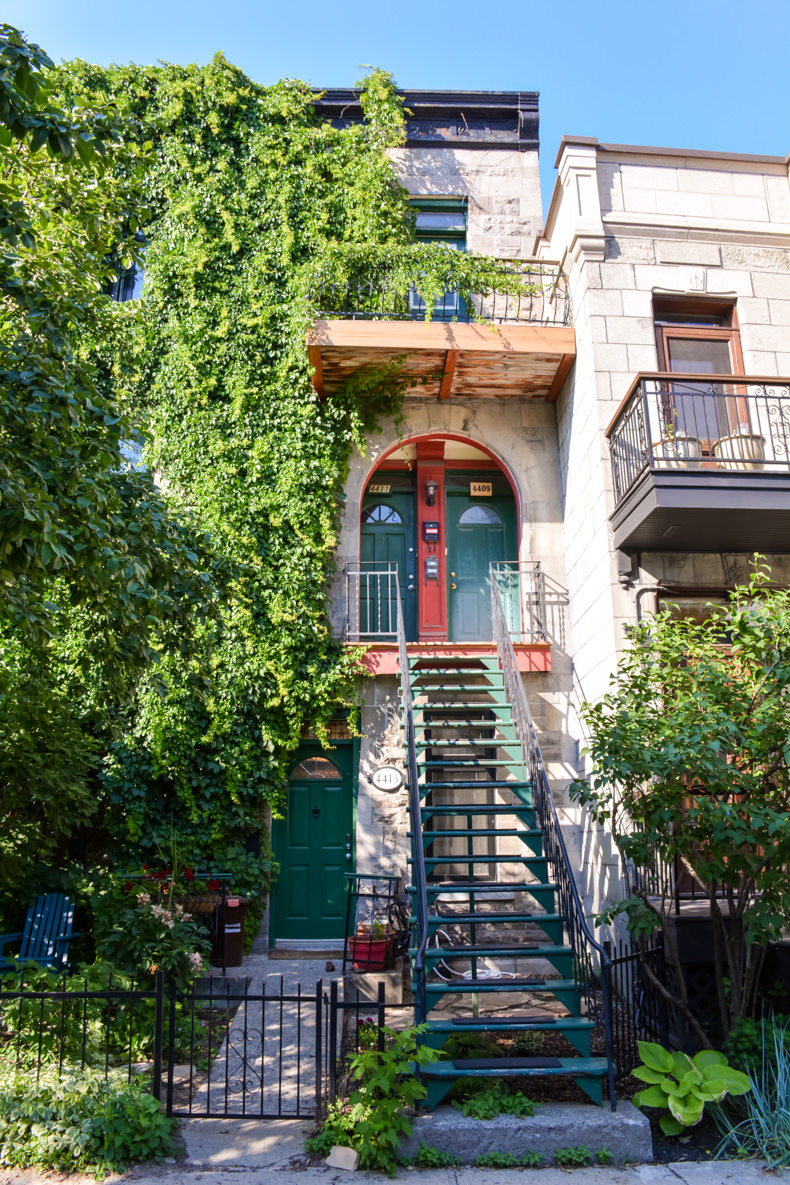 Plateau Mont-Royal été