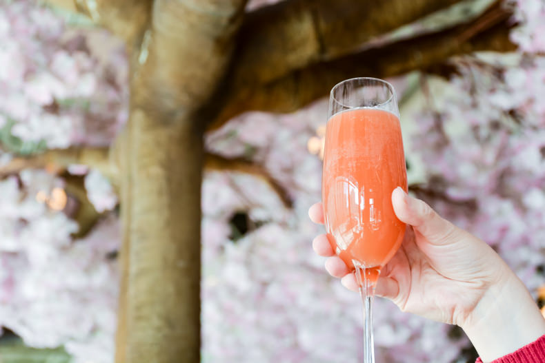 Brunch Blossom Montréal