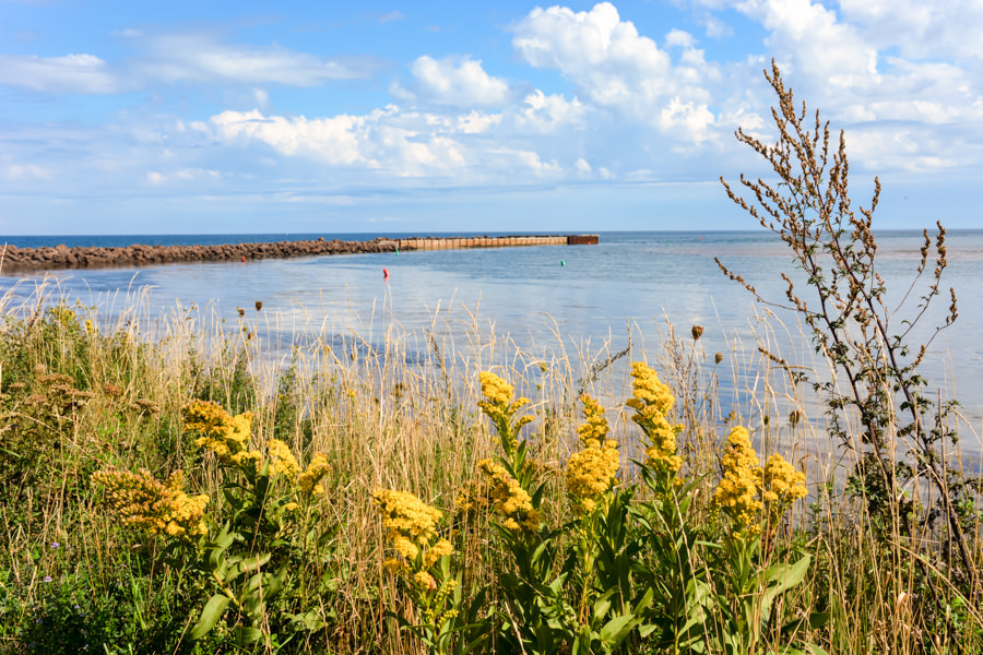 North Rustico Ile-du-Prince-Édouard