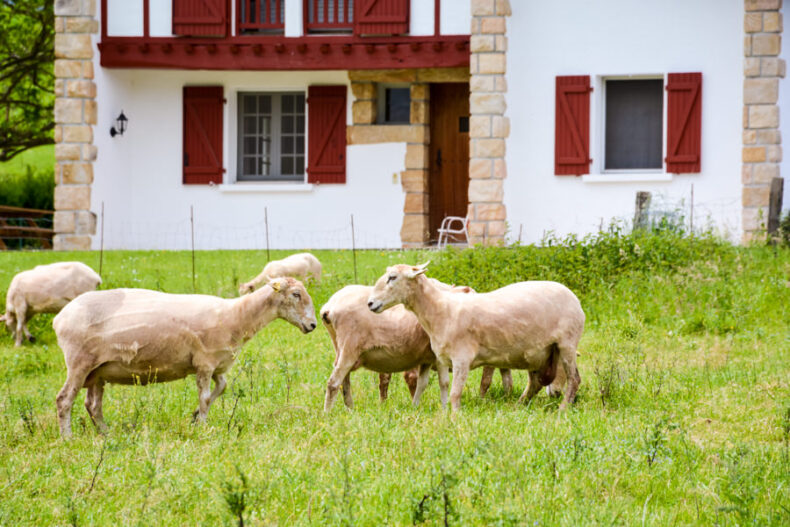 Pays Basque 4 jours