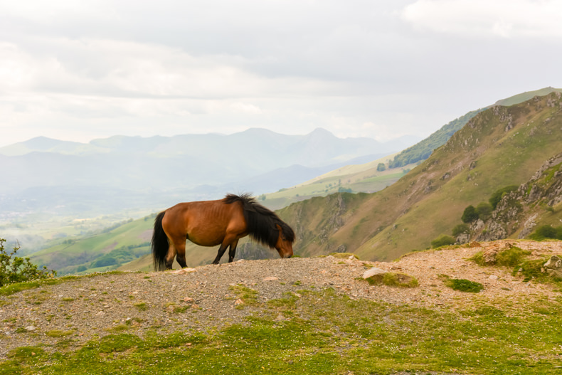 Pays Basque 4 jours