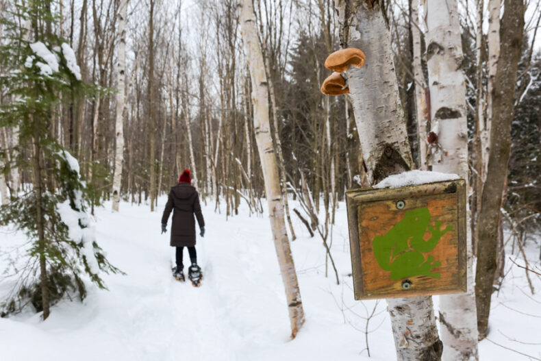 Aux berges du lac Castor Mauricie