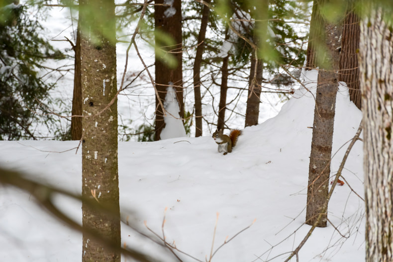 Aux berges du lac Castor Mauricie