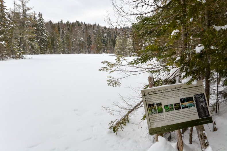 Aux berges du lac Castor Mauricie