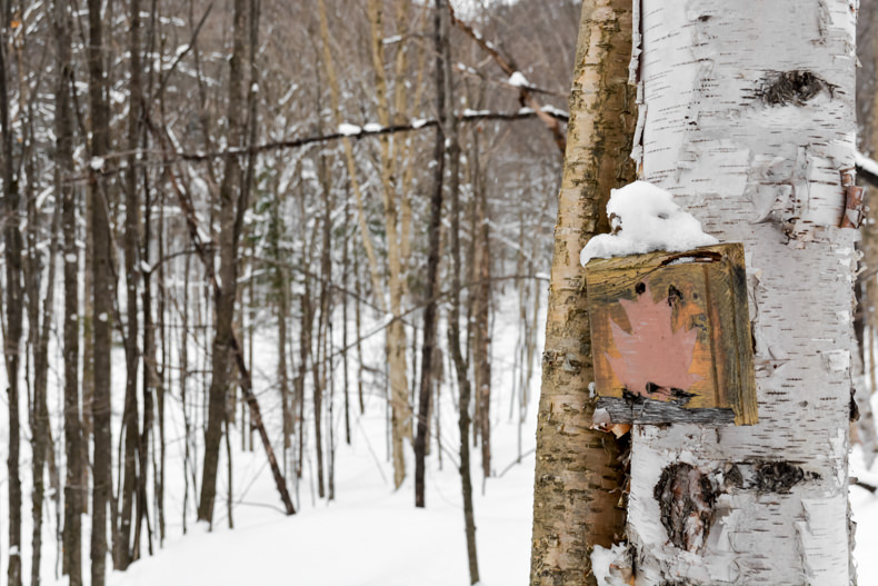 Aux berges du lac Castor Mauricie