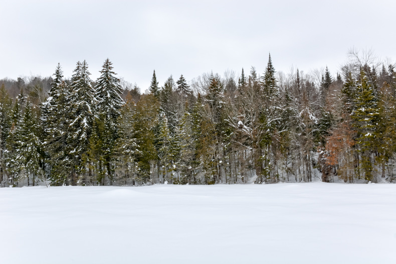 Aux berges du lac Castor Mauricie