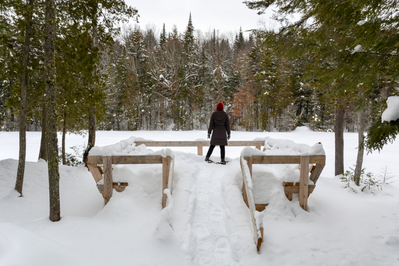 Aux berges du lac Castor Mauricie