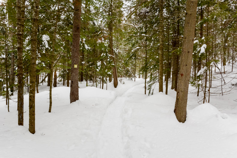 Aux berges du lac Castor Mauricie