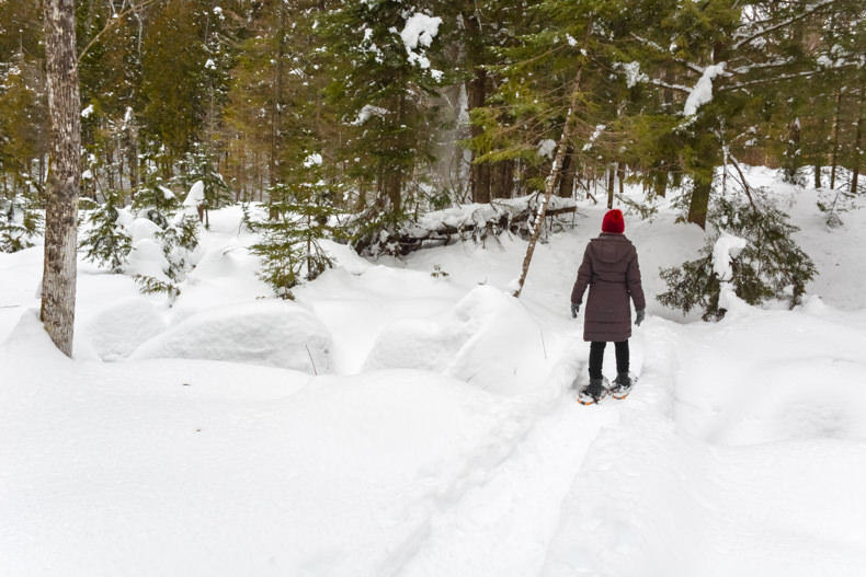 Aux berges du lac Castor Mauricie