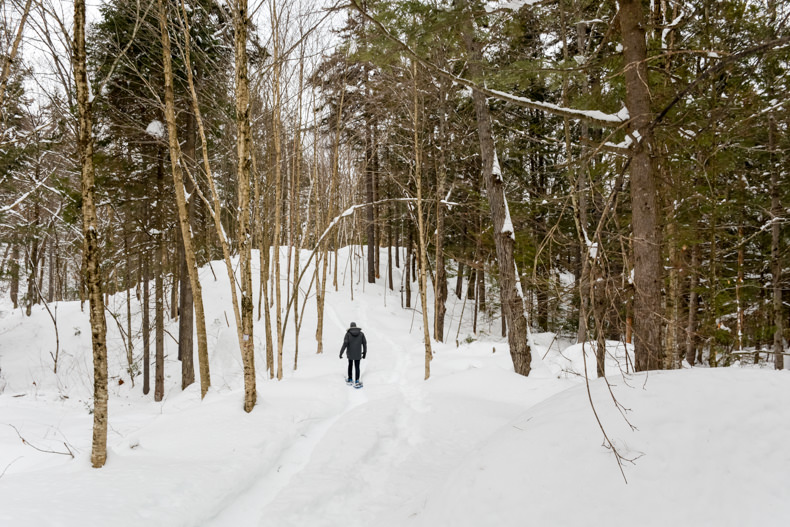 Aux berges du lac Castor Mauricie