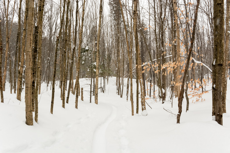 Aux berges du lac Castor Mauricie