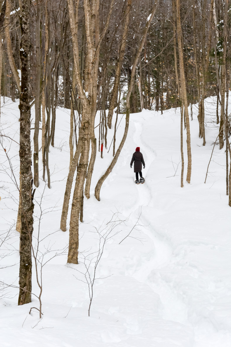 Aux berges du lac Castor Mauricie