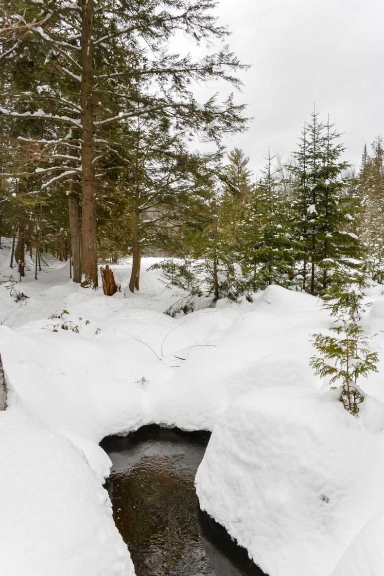 Aux berges du lac Castor Mauricie