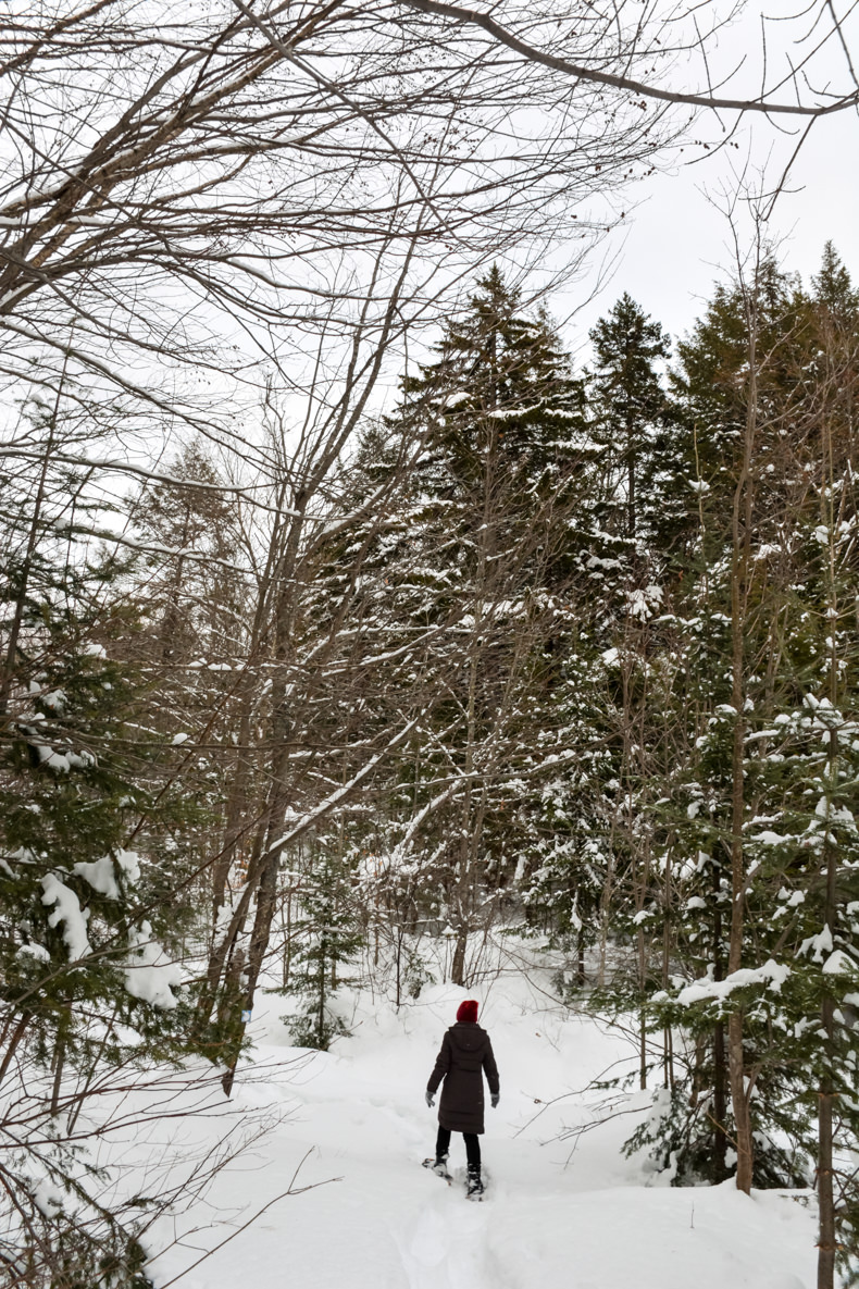 Aux berges du lac Castor Mauricie