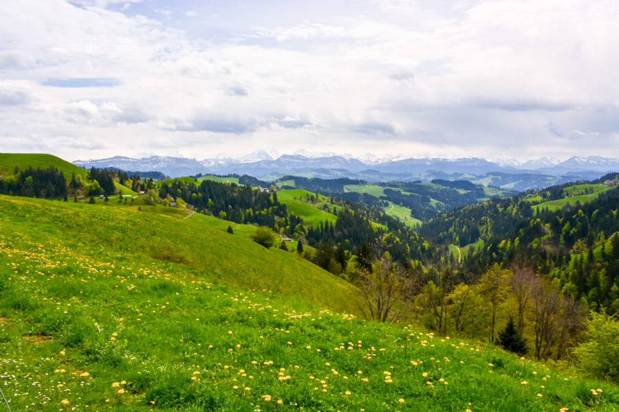 Fromages suisses Emmentaler