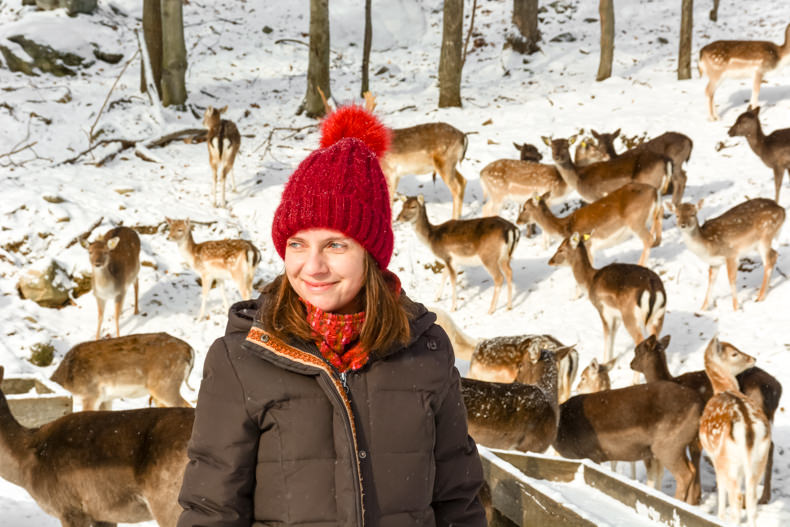 Parc Oméga Hiver