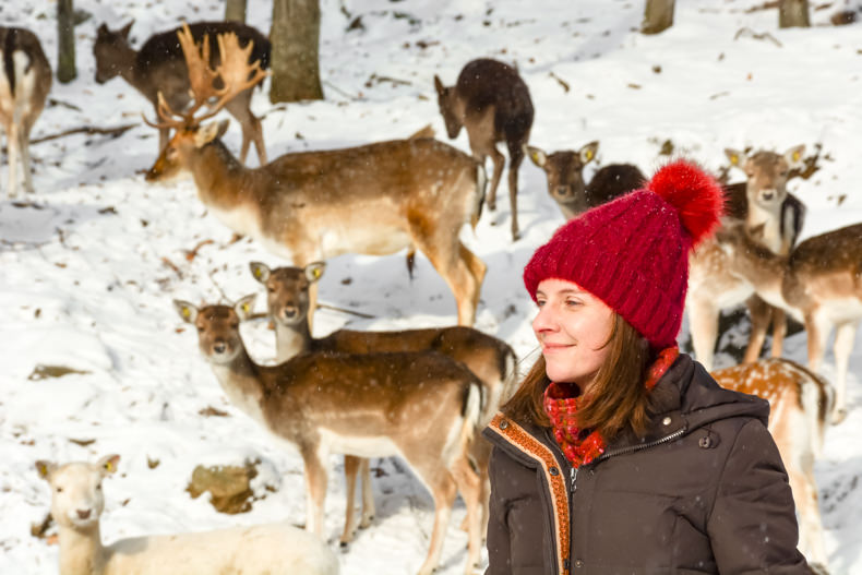 Parc Oméga Hiver