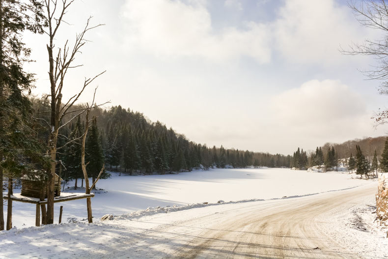 Parc Oméga Hiver