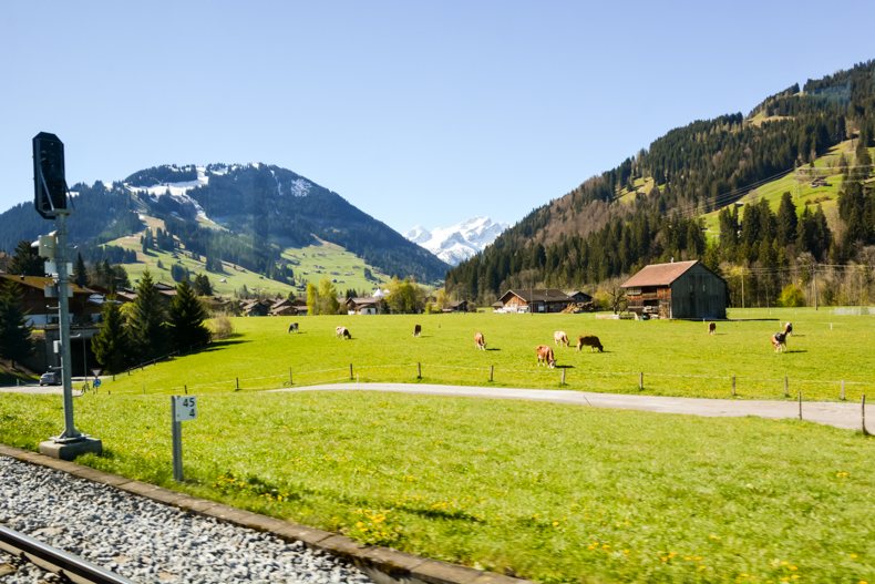 Train Belle Époque Suisse