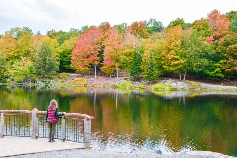 Visiter le Parc Oméga à l'automne