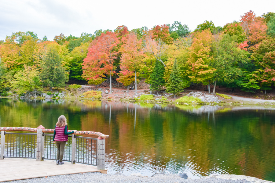 Visiter le Parc Oméga à l'automne