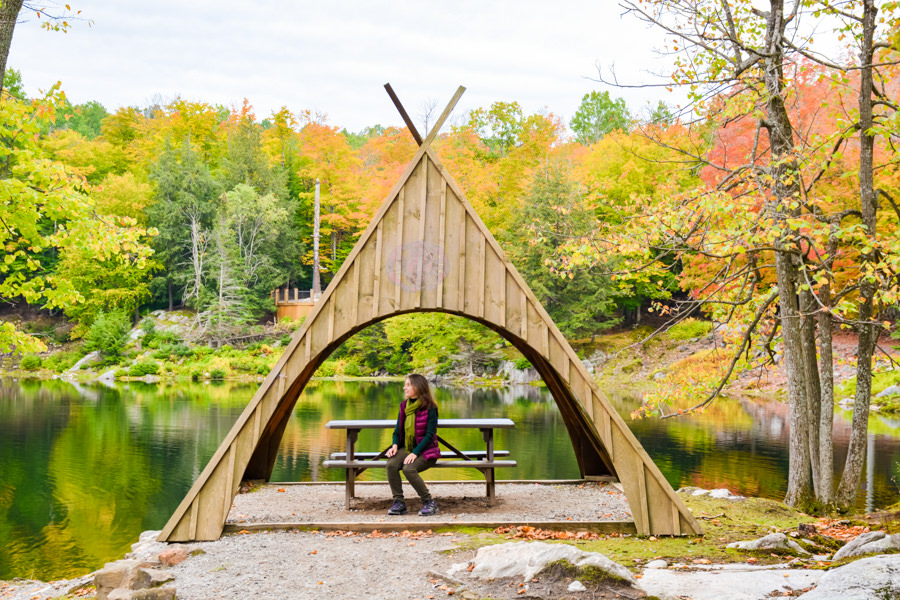 Visiter le Parc Oméga à l'automne