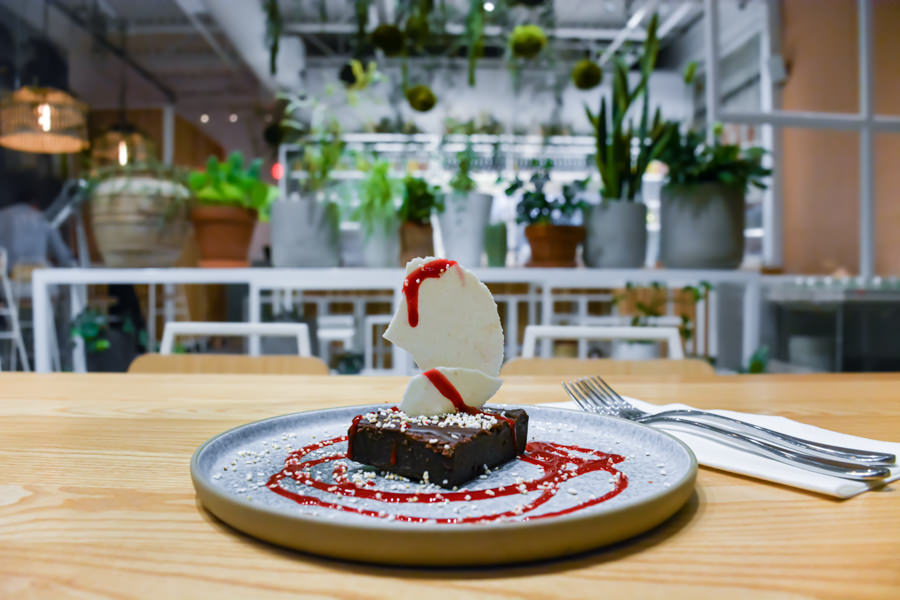 Brownie Casa Kaizen