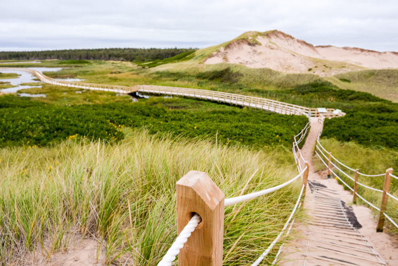 sentier des dunes Greenwich