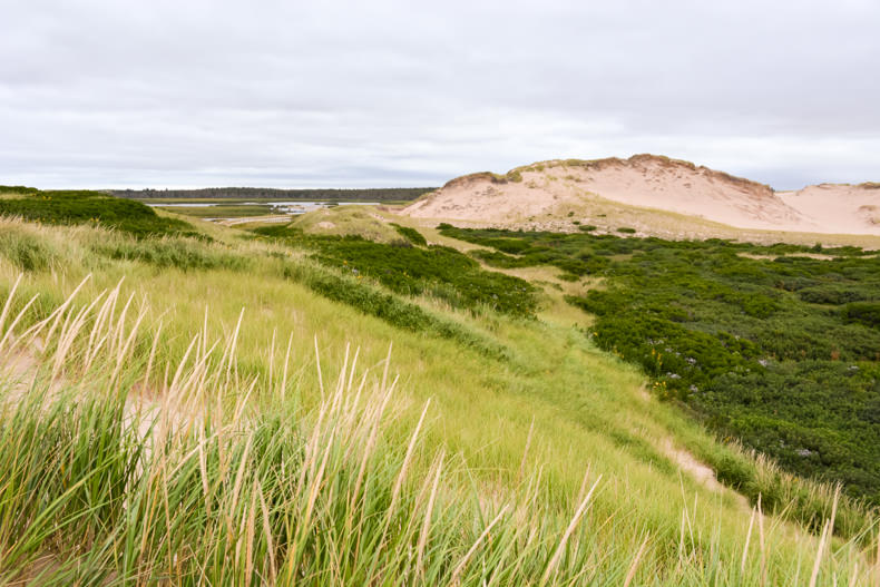 sentier des dunes Greenwich