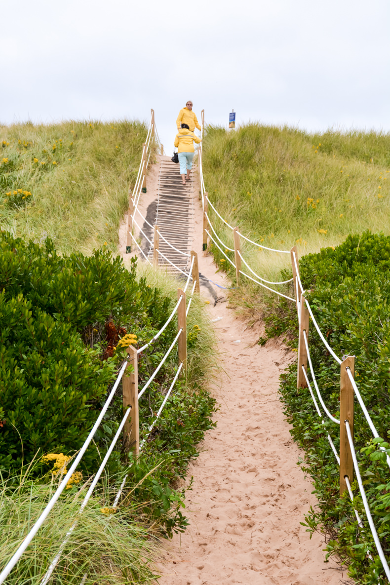 sentier des dunes Greenwich