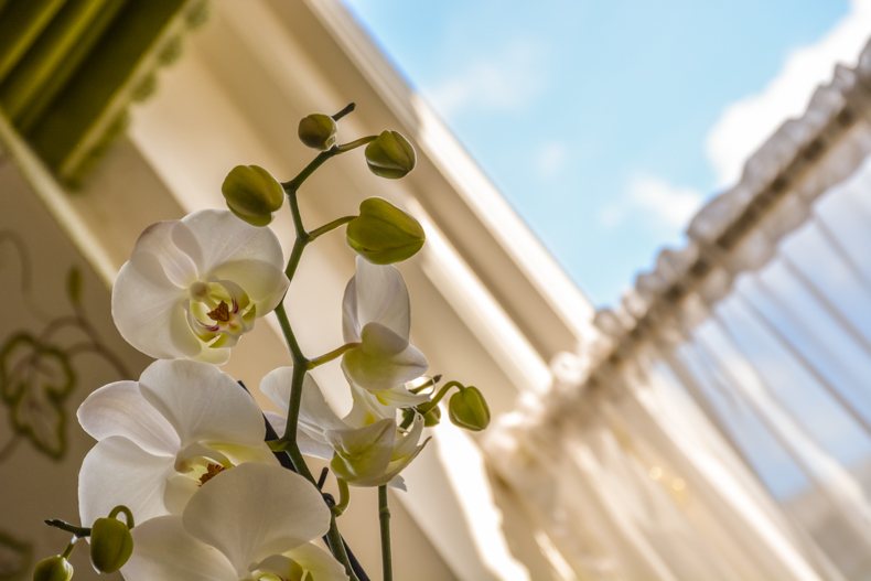 The Chesterfield Mayfair The Garden Suite