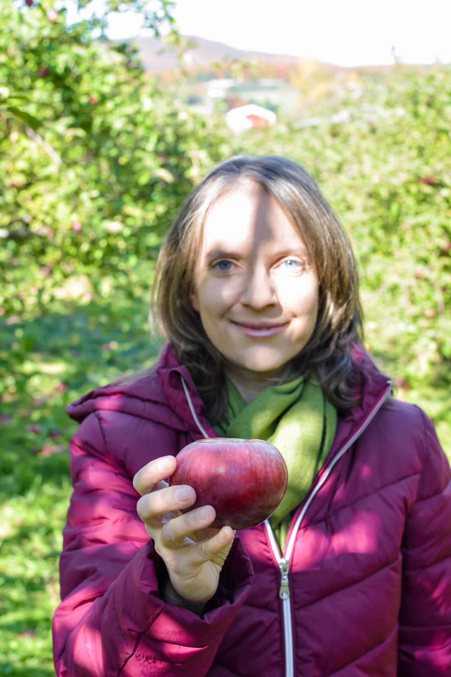 Labonté de la pomme autocueillette pomme