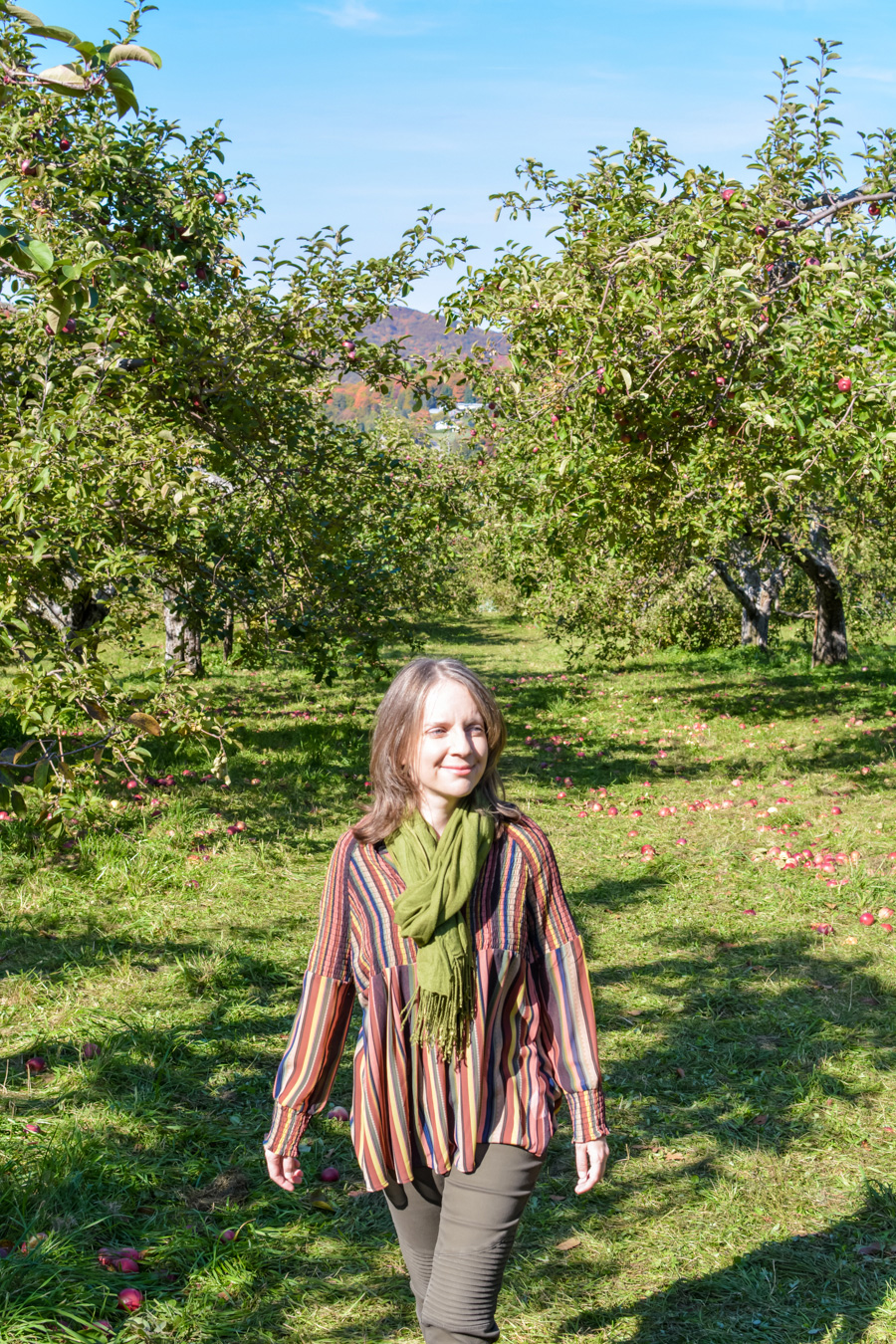 Labonté de la pomme autocueillette