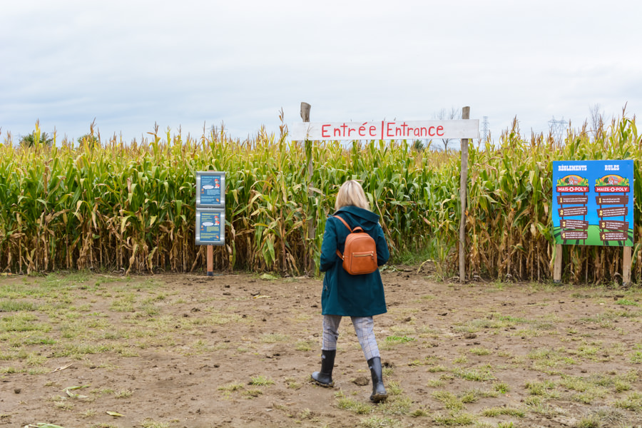 agroutourisme Laval Ferme Forget