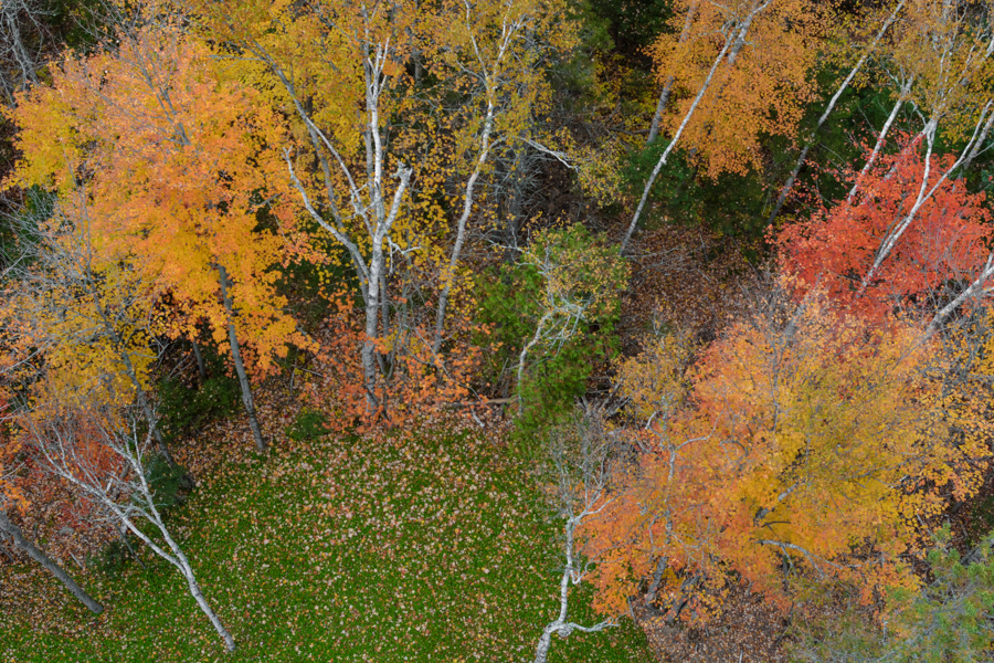 Sentier des cimes Laurentides