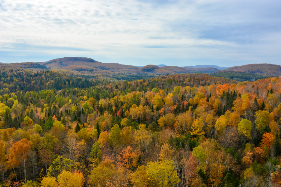 Sentier des cimes Laurentides