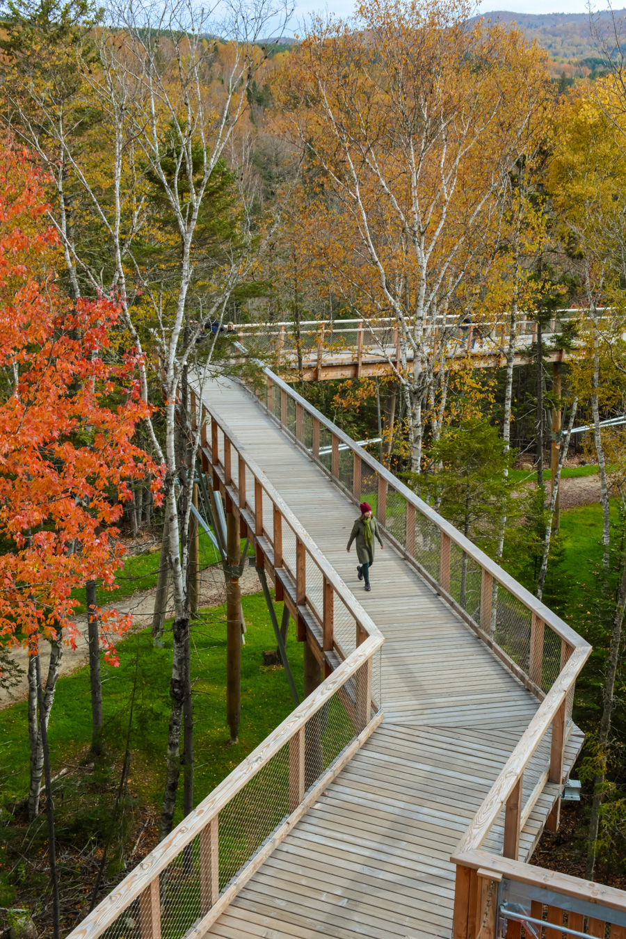 Sentier des cimes Laurentides