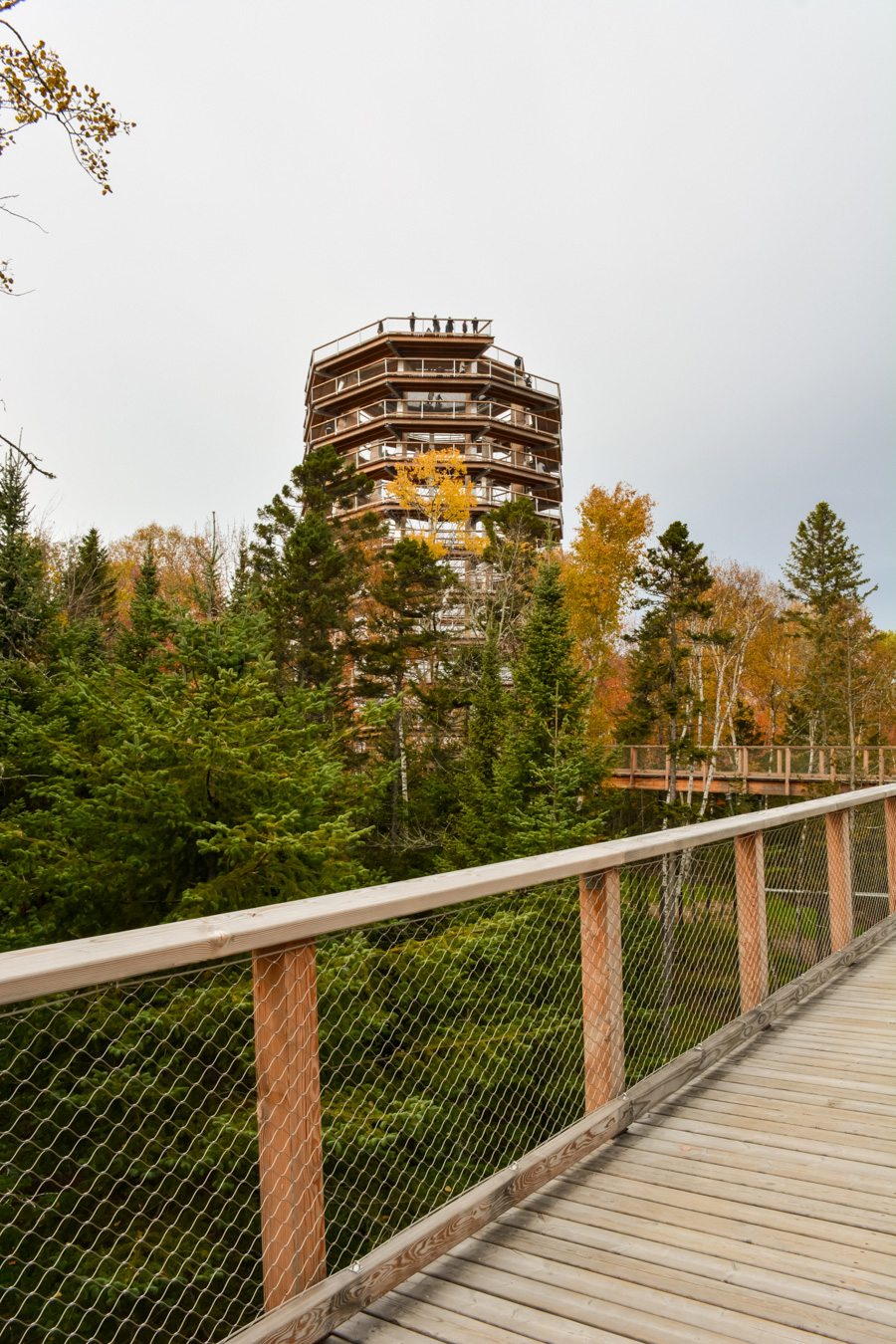 Sentier des cimes Laurentides