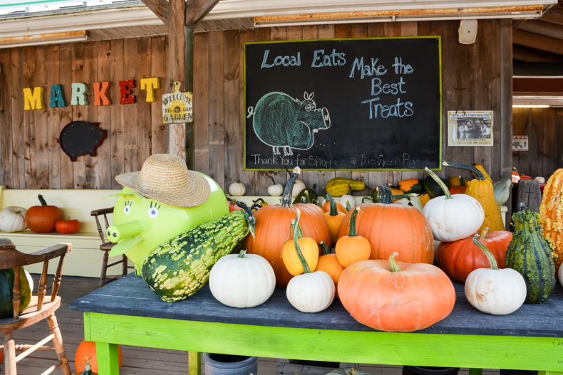 Green Pig Market