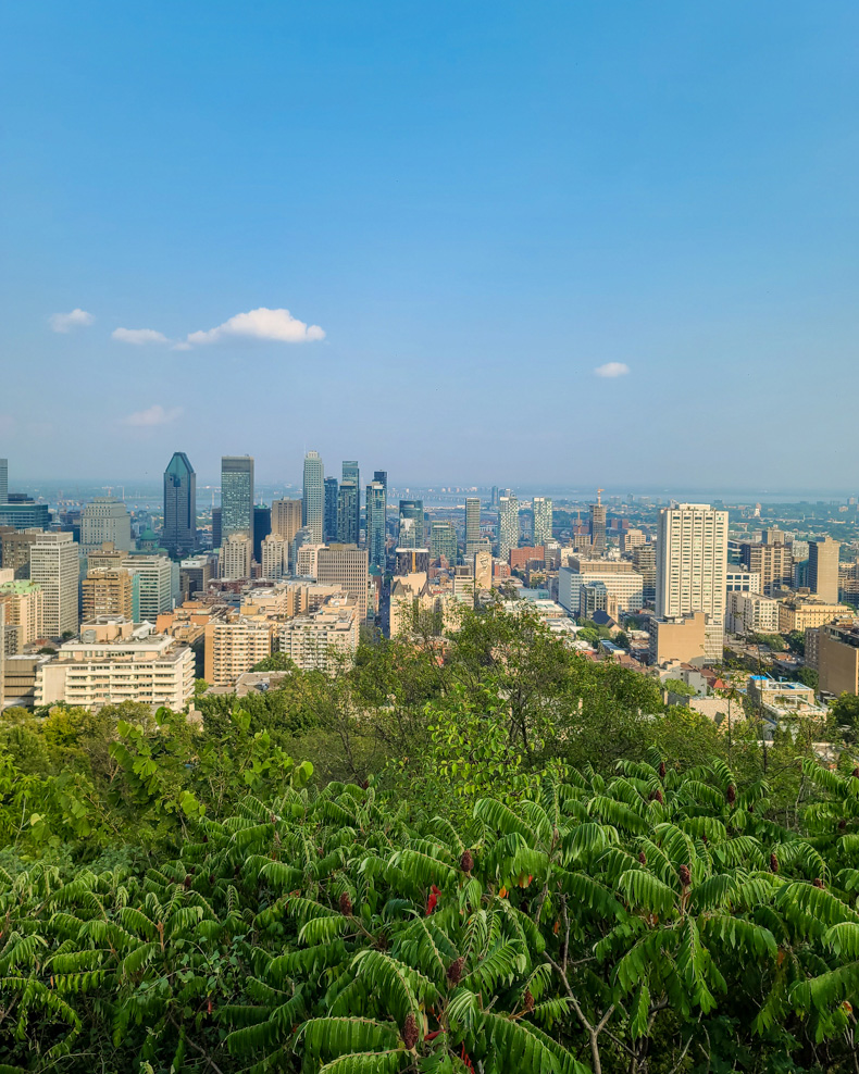 visiter Montréal 4 jours Mont-Royal