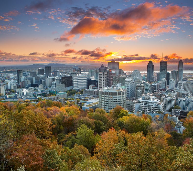 Mont-Royal Activités Québec automne