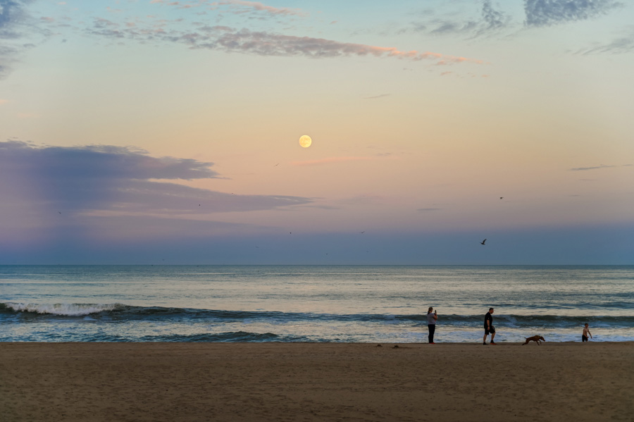 Virginia Beach à l'automne en amoureux