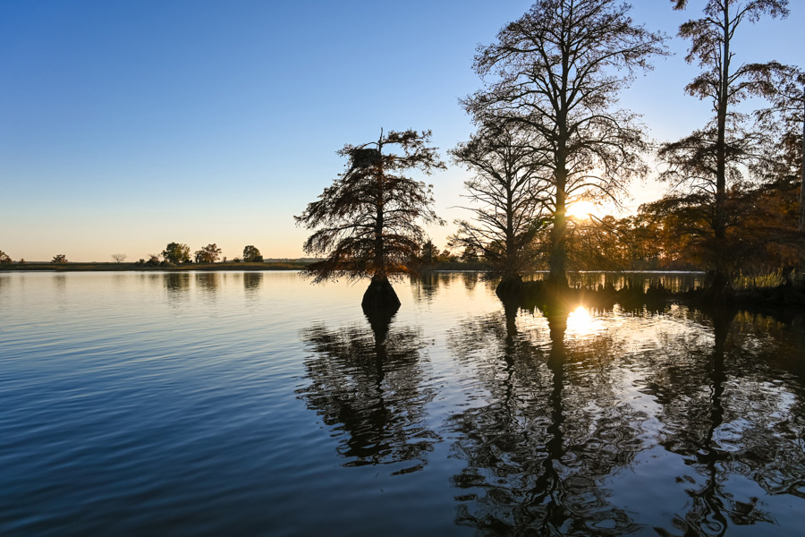 Jamestown Discovery Boat Tours