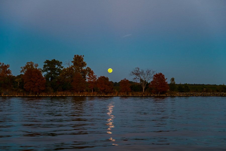 Jamestown Discovery Boat Tours