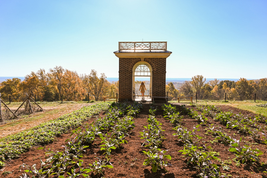 visiter Charlottesville Monticello