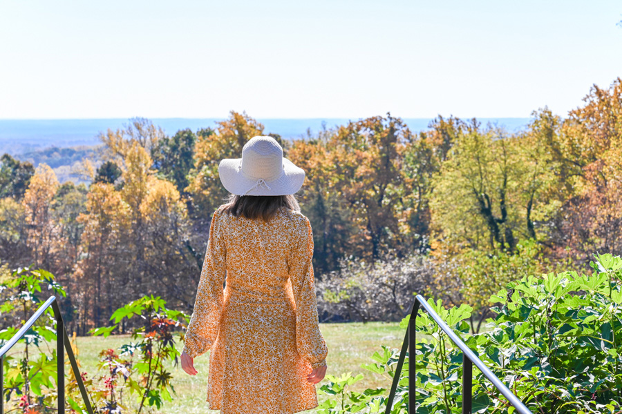 visiter Charlottesville Monticello