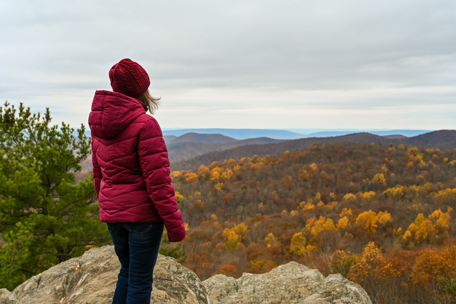 parc national de Shenandoah automne