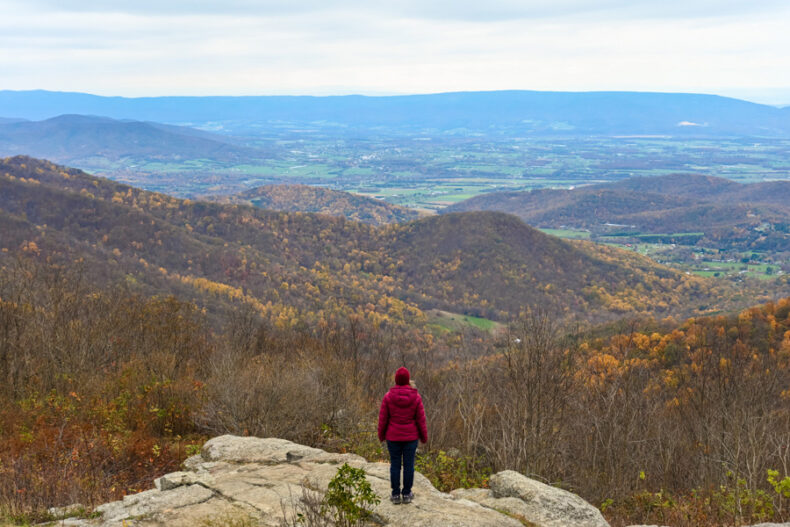 parc national de Shenandoah automne