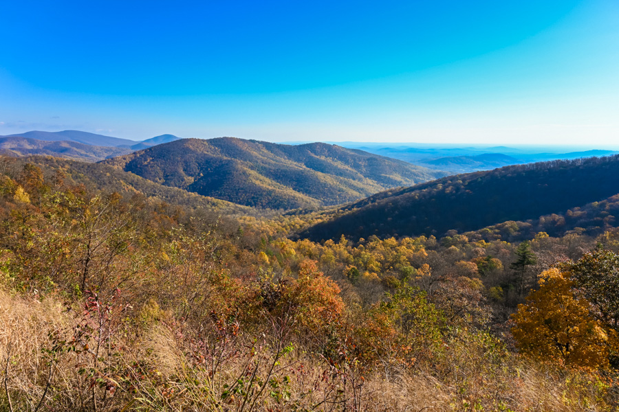 parc national de Shenandoah automne